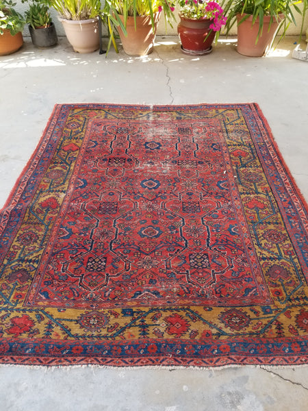 5'2 x 6' Antique Persian Square rug #1340 / 5x6 Vintage rug - Blue Parakeet Rugs