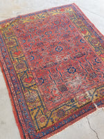 5'2 x 6' Antique Persian Square rug #1340 / 5x6 Vintage rug - Blue Parakeet Rugs