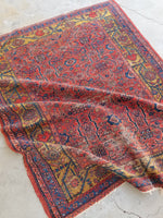 5'2 x 6' Antique Persian Square rug #1340 / 5x6 Vintage rug - Blue Parakeet Rugs