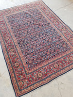 [vintage rugs] - Blue Parakeet Rugs