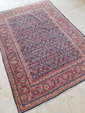 [vintage rugs] - Blue Parakeet Rugs