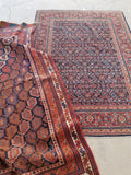 5x8 Antique Paisley Persian Afshar Rug (#1343) - Blue Parakeet Rugs
