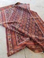 5x8 Antique Paisley Persian Afshar Rug (#1343) - Blue Parakeet Rugs