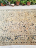 [vintage rugs] - Blue Parakeet Rugs