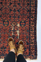 [vintage rugs] - Blue Parakeet Rugs