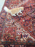 10'1" x 12'10" Vintage Heriz Rug / Large Vintage Rug / Rusty Geometric Rug - Blue Parakeet Rugs