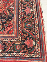 10'10 x 17'3 Oversize 1930s Mahal Rug / Large 11x17 vintage rug - Blue Parakeet Rugs