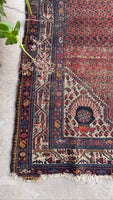 [vintage rugs] - Blue Parakeet Rugs