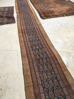 2'6 x 23'9 Camel Hair Antique Serab Rug / Long skinny Runner (#684) - Blue Parakeet Rugs