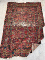 [vintage rugs] - Blue Parakeet Rugs