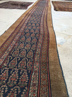 2'6 x 23'9 Camel Hair Antique Serab Rug / Long skinny Runner (#684) - Blue Parakeet Rugs