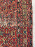 [vintage rugs] - Blue Parakeet Rugs