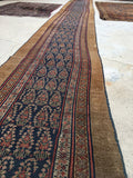 2'6 x 23'9 Camel Hair Antique Serab Rug / Long skinny Runner (#684) - Blue Parakeet Rugs