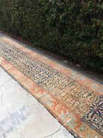 3'2 x 12'11 Antique Malayer Runner / Long Persian Runner - Blue Parakeet Rugs