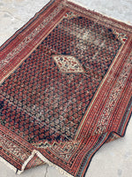 4'8 x 6'3 Antique Persian Kurdish rug #2048ML / 5x6 Vintage Rug - Blue Parakeet Rugs