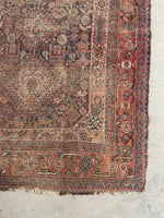4'7 x 6'2 Worn Persian Afshar Rug #2747 / Small Persian Vintage Rug - Blue Parakeet Rugs