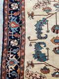 10'5 x 11'5 Antique ivory ground Heriz tribal rug #2054 / 11x12 Vintage Rug - Blue Parakeet Rugs