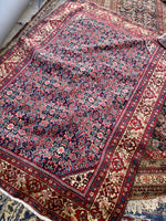 [vintage rugs] - Blue Parakeet Rugs
