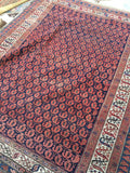 5 x 6'7 NW tribal rug  (#854ML) - Blue Parakeet Rugs