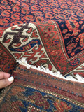 5 x 6'7 NW tribal rug  (#854ML) - Blue Parakeet Rugs