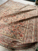 9'2 x 11' Antique Love Worn Persian rug #2692 / Large Vintage Rug - Blue Parakeet Rugs