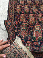 [vintage rugs] - Blue Parakeet Rugs