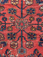 8'3 x 13' Antique 1920s watermelon ground Mahal rug #2065 / 8x13 Vintage Rug - Blue Parakeet Rugs