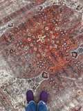 8'8 x 11'10 Antique 19th Century Mahal worn rug #1922ML / 9x12 Vintage rug - Blue Parakeet Rugs