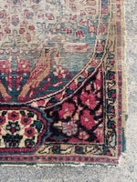 [vintage rugs] - Blue Parakeet Rugs