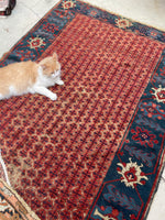 [vintage rugs] - Blue Parakeet Rugs