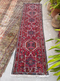 [vintage rugs] - Blue Parakeet Rugs