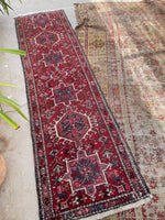 [vintage rugs] - Blue Parakeet Rugs