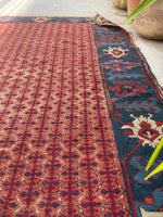 [vintage rugs] - Blue Parakeet Rugs