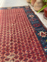 [vintage rugs] - Blue Parakeet Rugs