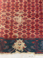[vintage rugs] - Blue Parakeet Rugs