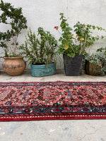 2'7 x 20' Skinny and long Lilihan runner #2074 / 3x20 Vintage Runner - Blue Parakeet Rugs