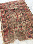3'8 x 5'2 Antique Caucasian Rug - Blue Parakeet Rugs