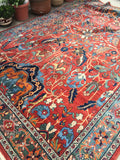 8'4 x 11'6 antique Persian Mahal Rug - Blue Parakeet Rugs