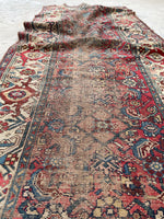 [vintage rugs] - Blue Parakeet Rugs