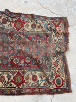 [vintage rugs] - Blue Parakeet Rugs