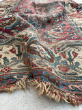 [vintage rugs] - Blue Parakeet Rugs