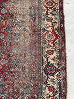 [vintage rugs] - Blue Parakeet Rugs