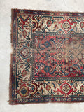 [vintage rugs] - Blue Parakeet Rugs