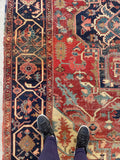 9'6 x 12' Antique Serapi rug with ivory spandrels #2079 / 10x12 Vintage Rug - Blue Parakeet Rugs