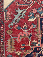 9'6 x 12' Antique Serapi rug with ivory spandrels #2079 / 10x12 Vintage Rug - Blue Parakeet Rugs