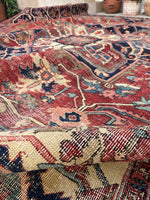 9'6 x 12' Antique Serapi rug with ivory spandrels #2079 / 10x12 Vintage Rug - Blue Parakeet Rugs