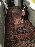 4' x 12'5" Antique 19th Century Russian Runner - Blue Parakeet Rugs