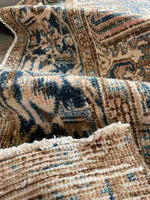 7x9 Persian Heriz Rug #2759 - Blue Parakeet Rugs