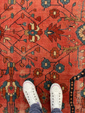 8'3 x 13' Antique Persian Berry Lilihan rug # 2236ML / 9x13 Vintage Rug - Blue Parakeet Rugs