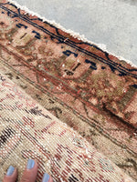 4'4 x 6'4 blush + minky Antique Malayer Rug - Blue Parakeet Rugs